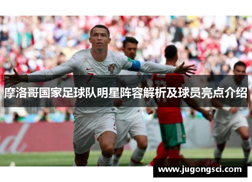 摩洛哥国家足球队明星阵容解析及球员亮点介绍