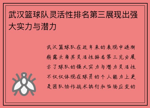 武汉篮球队灵活性排名第三展现出强大实力与潜力